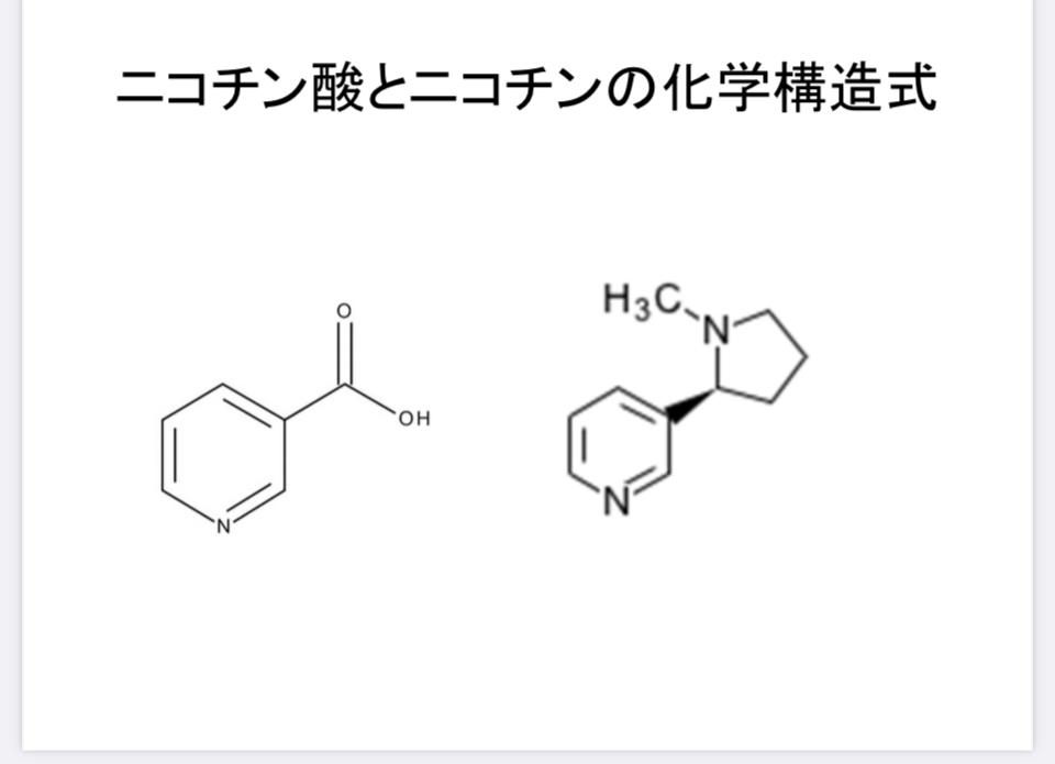 院長日記|聚楽内科クリニック